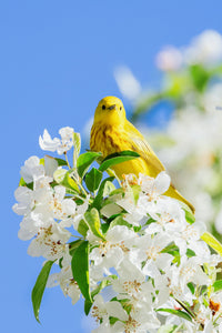 Spring in to Action and check your Antivirus security!